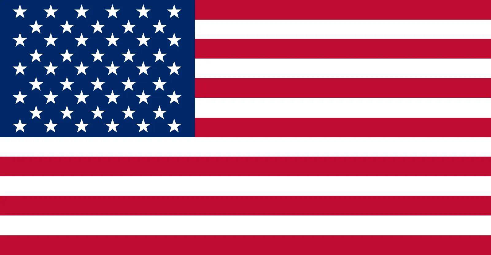 Chicago, IL flag